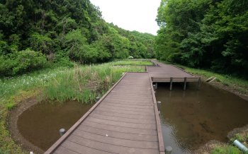 大戸緑地 （おおとりょくち）