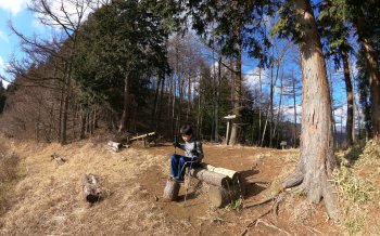 槇寄山 （まきよせやま）西原峠～数馬峠