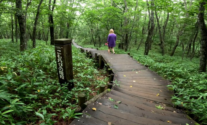 釧路市湿原展望台