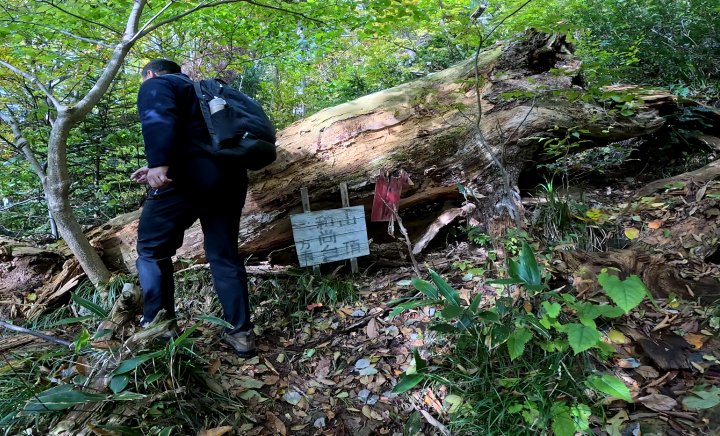 ② 登山道