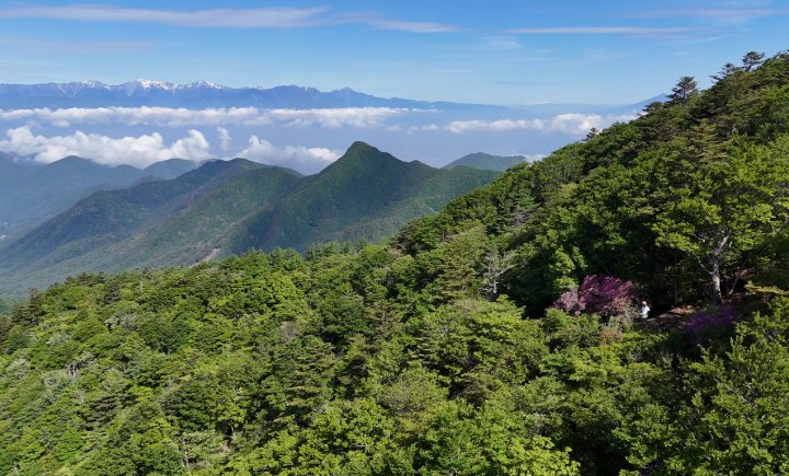 黒岳