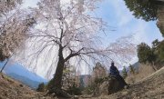 身延山