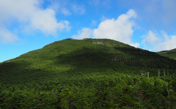 北横岳・縞枯山