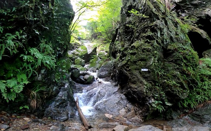 棒ノ折山