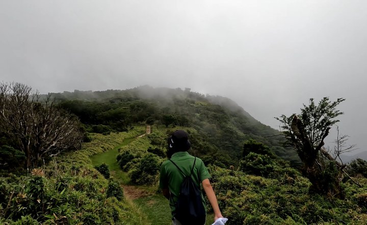 達磨山