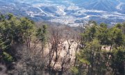 高川山