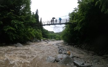 尾白川渓谷